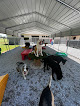 Pet boarding services Copyright Pet Resort in Cookeville in Putnam