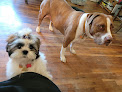Pet boarding services Cottonwood Animal Clinic in Arkansas City in Kansas