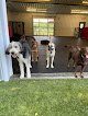 Pet boarding services Cottonwood Pet Resort in Waterloo in Nebraska
