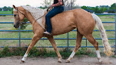 Pet boarding services Coughing Cowgirl Horse Training in Meridian in Idaho
