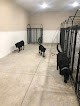 Pet boarding services Country Club Kennels in Braceville in Grundy