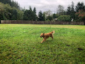 Pet boarding services Country Inn Kennels in Springfield in Oregon