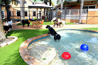 Pet boarding services Country Inn Pet Resort & Animal Hospital in Davie in Florida
