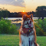 Pet boarding services Country Kennel in Bangor in Maine