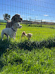 Pet boarding services Country Kennels in Moses Lake in Grant