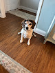 Pet boarding services Country Paws in Nashville in Indiana