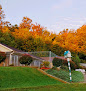 Pet boarding services Country Pet Hideaway in Reinholds in Pennsylvania