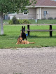 Pet boarding services Country Pet Inn in Sheridan in Wyoming