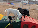 Pet boarding services Country Pup Kennel in Princeton in MN
