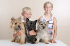 Pet boarding services Countryside Kennels in Madison in South Dakota