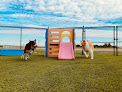 Pet boarding services Countryside Kennels Pet Resort & Spa in Zeeland in MI