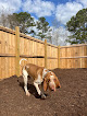 Pet boarding services Covey Kennels in Pelzer in South Carolina