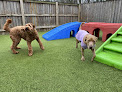 Pet boarding services Cozy Canine Camp in Crownsville in Maryland