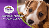 Pet boarding services Crazy Bone Pet Spa in Parkersburg in West Virginia