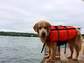 Pet boarding services Creative Dog Training - Summit in Vestavia Hills in Alabama