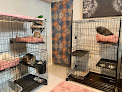 Pet boarding services Crestwood Cat Boarding in Boise in Idaho
