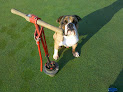 Pet boarding services Crofton Dog Walkers in Crofton in Maryland