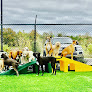 Pet boarding services Crossroads Pet Professionals in Nolensville in Williamson