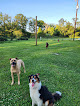 Pet boarding services Cypress Kennels Dog Boarding in Robert in Louisiana