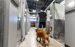 Pet boarding services D Pet Hotels Scottsdale in Scottsdale in Arizona