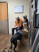 Pet boarding services Dakota Hills Veterinary Clinic in Rapid City in South Dakota