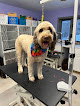 Pet boarding services Dakotah's Doggy Daycare, Hotel, Salon, And Training in Elk River in MN