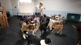Pet boarding services Dawg House - Dog Daycare & Boarding in Tucson in Tucson, AZ