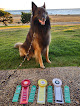 Pet boarding services Dazzling Doggies in Clovis in CA