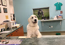 Pet boarding services Deer Creek Animal Hospital & Pet Resort in Phoenix in Phoenix, AZ