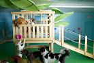 Pet boarding services Delaware Pet Stuff in Delaware in OH