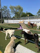 Pet boarding services Diggity Dawg Daycare in Wernersville in Pennsylvania
