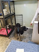 Pet boarding services Dirty Dawg Salon Llc Chandler! in Chandler in Chandler, AZ