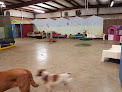 Pet boarding services Dixie Pet Stop (dba) Sit Stay & Play Pet in Elizabethtown in Kentucky