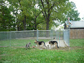 Pet boarding services Dog Care Inn in Warsaw in Indiana