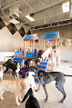 Pet boarding services Dog Day Getaway in Apple Valley in MN
