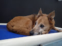 Pet boarding services Dog Days Daycare & Boarding in St Paul in MN