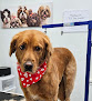 Pet boarding services Dog Haven And Spa in Wayzata in MN