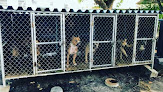 Pet boarding services Dog Kennels Florida in Opa-locka in Miami-Dade
