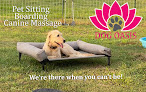 Pet boarding services Dog Oasis Boarding, Pet Sitting And Canine Massage in Victoria in Victoria