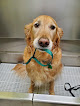 Pet boarding services Dog Ranch Too in Fairhope in Alabama