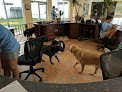 Pet boarding services Dog Spot Hotel in Melbourne in Florida
