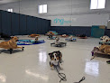 Pet boarding services Dog Training Now in Hoffman Estates in IL