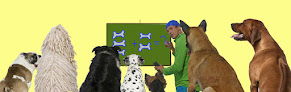 Pet boarding services Dog Training Of Tampa Bay, Inc. in Plant City in Florida