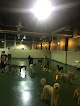 Pet boarding services Dog. Hotel | Daycare in Chicago in IL