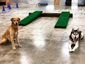 Pet boarding services Dogconnectionpdx Daycare & Boarding in Portland in Oregon