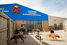 Pet boarding services Dogdayz in Noblesville in Indiana