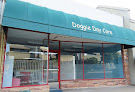 Pet boarding services Doggie Day Care in Pacific Grove in CA