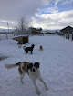 Pet boarding services Doggie Daycare & Motel in Gallatin Gateway in MT