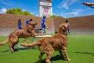Pet boarding services Doggie District - Grand Canyon in Las Vegas in Nevada