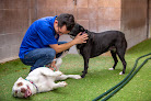 Pet boarding services Doggie District - Silverado in Las Vegas in Nevada